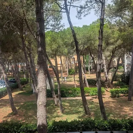 T2 Climatise A 200m De La Apartman *